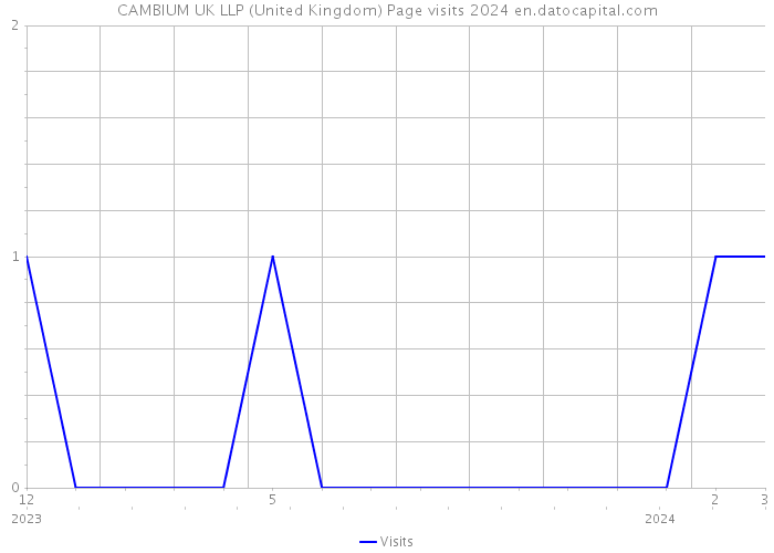 CAMBIUM UK LLP (United Kingdom) Page visits 2024 