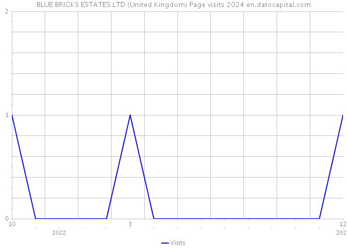 BLUE BRICKS ESTATES LTD (United Kingdom) Page visits 2024 