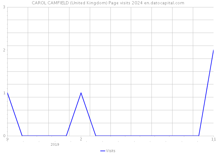 CAROL CAMFIELD (United Kingdom) Page visits 2024 