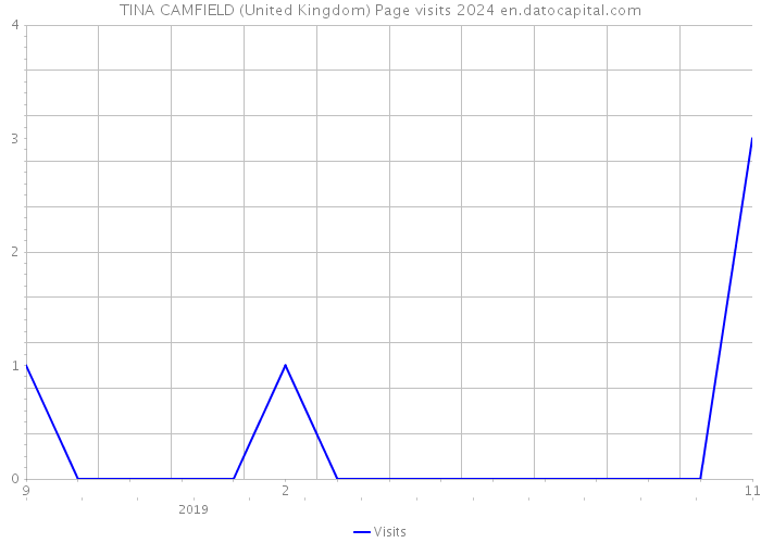 TINA CAMFIELD (United Kingdom) Page visits 2024 