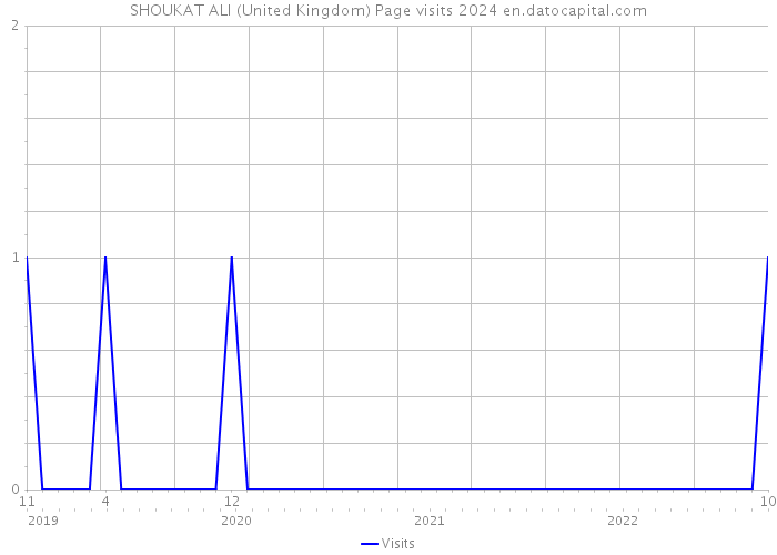 SHOUKAT ALI (United Kingdom) Page visits 2024 