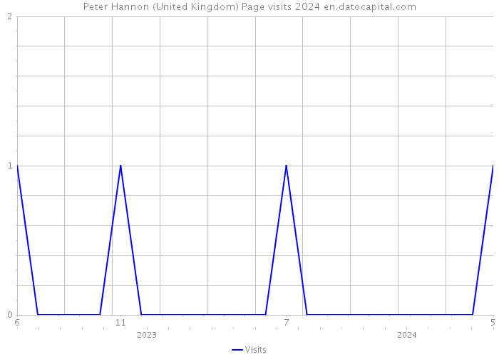 Peter Hannon (United Kingdom) Page visits 2024 