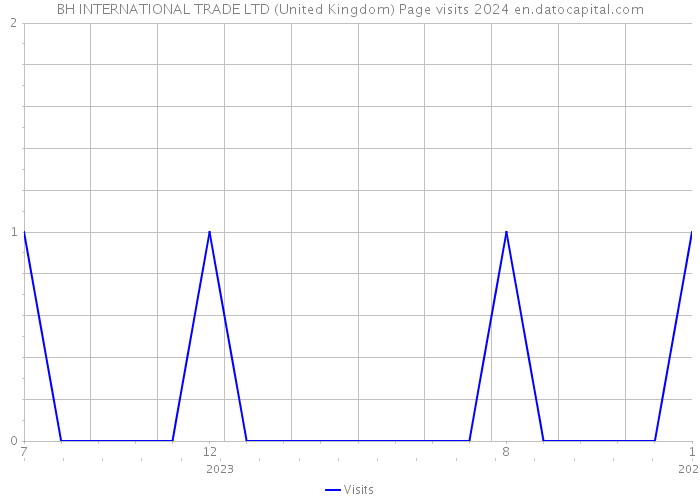 BH INTERNATIONAL TRADE LTD (United Kingdom) Page visits 2024 