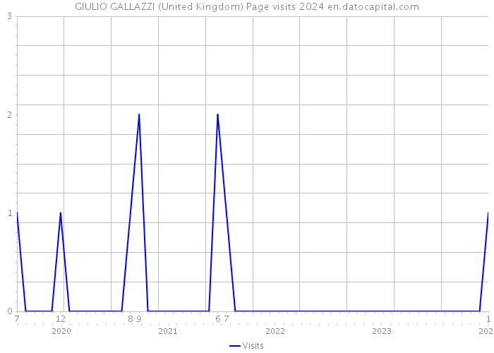 GIULIO GALLAZZI (United Kingdom) Page visits 2024 