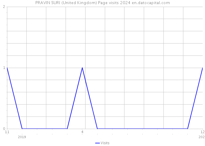 PRAVIN SURI (United Kingdom) Page visits 2024 