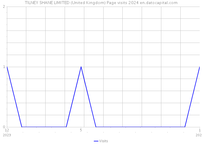 TILNEY SHANE LIMITED (United Kingdom) Page visits 2024 