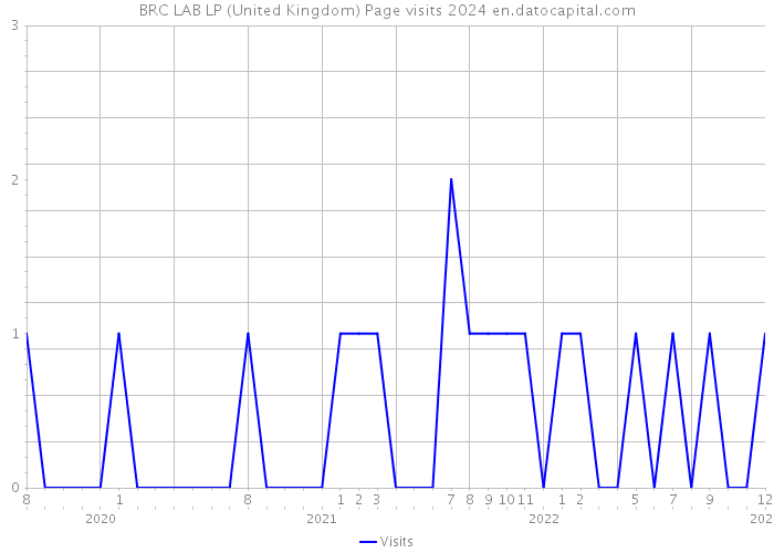 BRC LAB LP (United Kingdom) Page visits 2024 