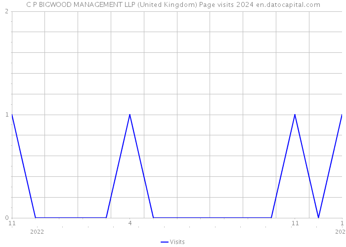 C P BIGWOOD MANAGEMENT LLP (United Kingdom) Page visits 2024 