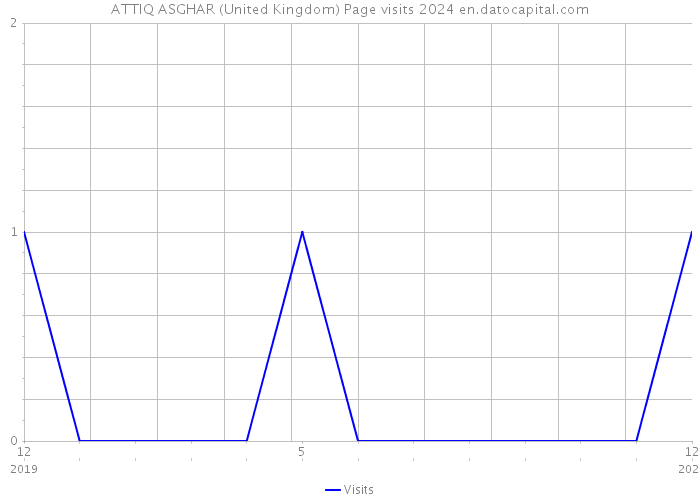 ATTIQ ASGHAR (United Kingdom) Page visits 2024 