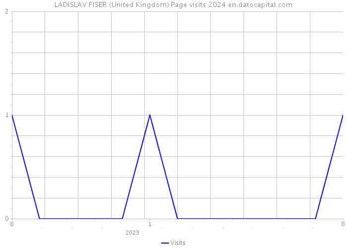 LADISLAV FISER (United Kingdom) Page visits 2024 