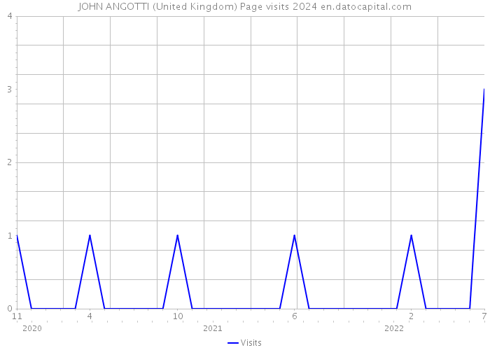 JOHN ANGOTTI (United Kingdom) Page visits 2024 
