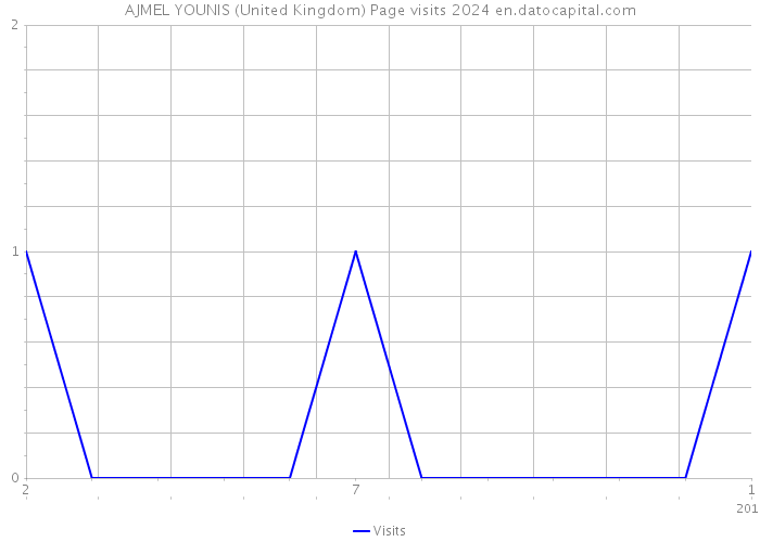 AJMEL YOUNIS (United Kingdom) Page visits 2024 