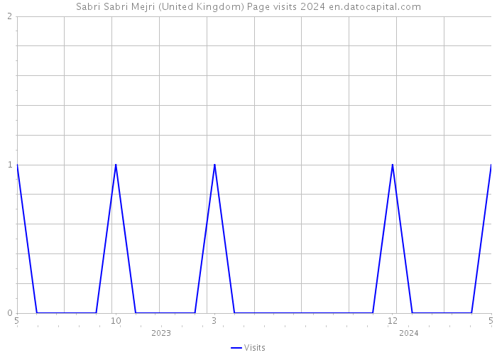 Sabri Sabri Mejri (United Kingdom) Page visits 2024 