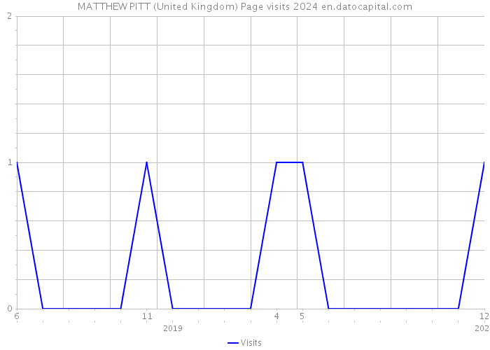 MATTHEW PITT (United Kingdom) Page visits 2024 