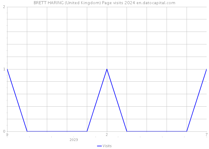 BRETT HARING (United Kingdom) Page visits 2024 