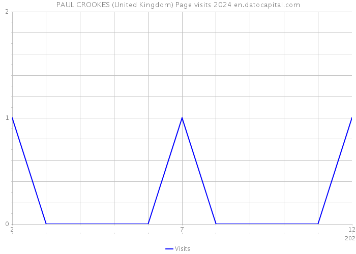 PAUL CROOKES (United Kingdom) Page visits 2024 
