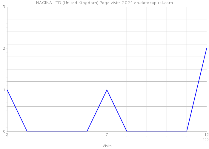 NAGINA LTD (United Kingdom) Page visits 2024 