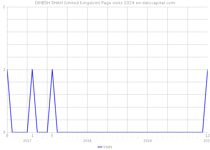 DINESH SHAH (United Kingdom) Page visits 2024 