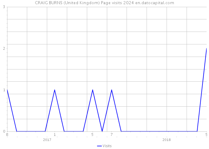 CRAIG BURNS (United Kingdom) Page visits 2024 
