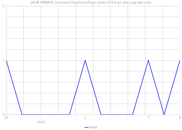 JANE HEWINS (United Kingdom) Page visits 2024 