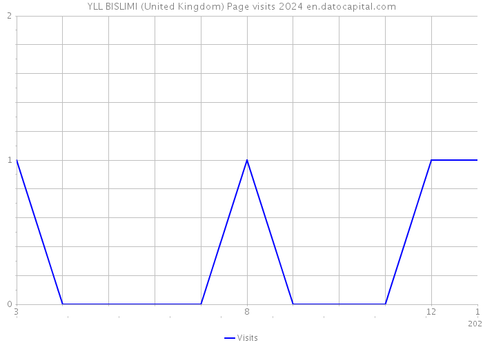 YLL BISLIMI (United Kingdom) Page visits 2024 