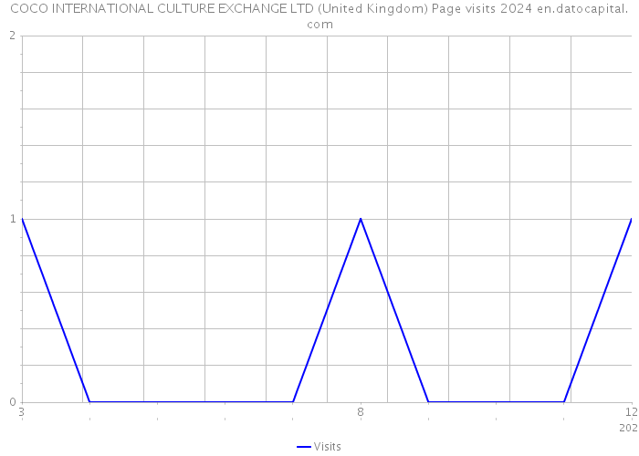 COCO INTERNATIONAL CULTURE EXCHANGE LTD (United Kingdom) Page visits 2024 