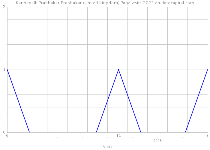 Kannepalli Prabhakar Prabhakar (United Kingdom) Page visits 2024 