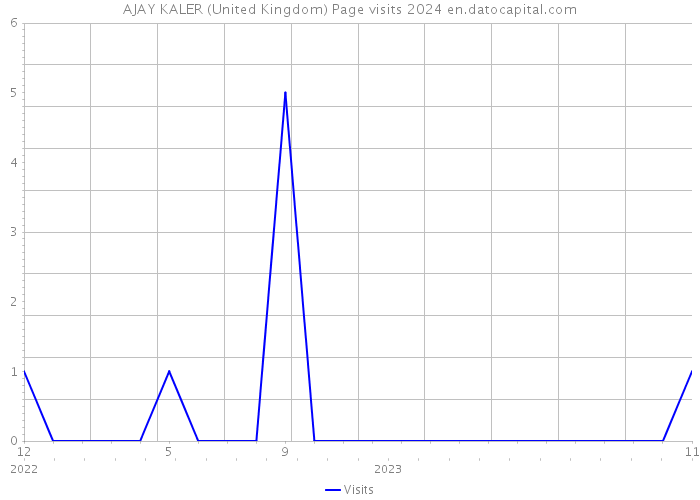 AJAY KALER (United Kingdom) Page visits 2024 