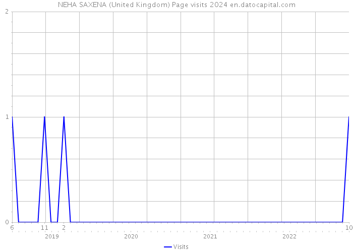 NEHA SAXENA (United Kingdom) Page visits 2024 