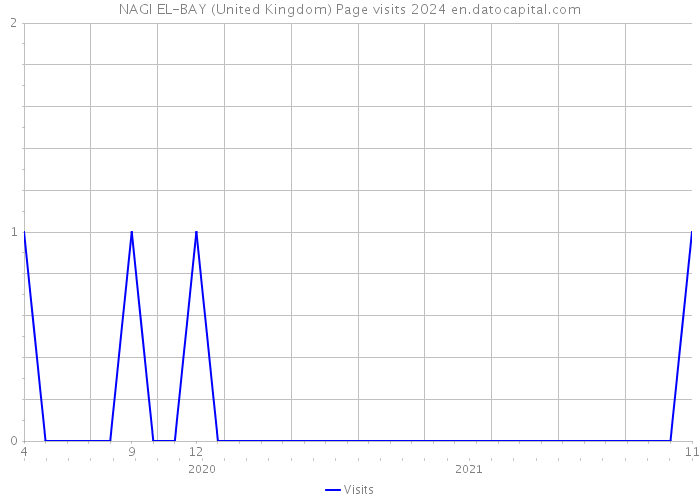 NAGI EL-BAY (United Kingdom) Page visits 2024 