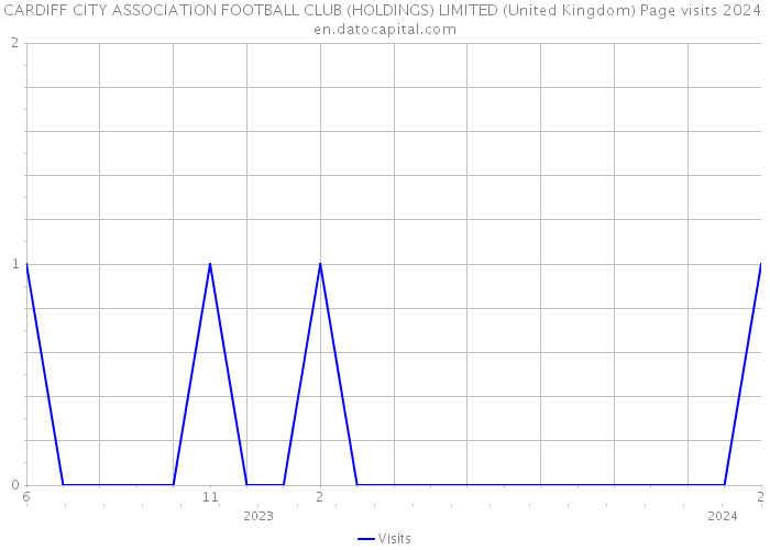 CARDIFF CITY ASSOCIATION FOOTBALL CLUB (HOLDINGS) LIMITED (United Kingdom) Page visits 2024 