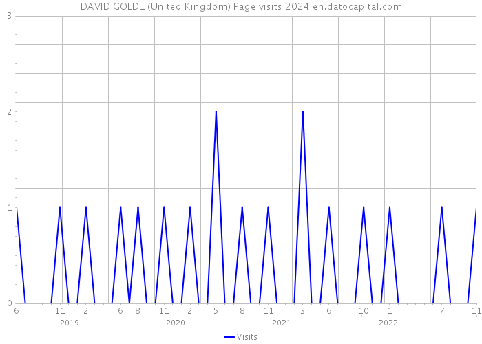 DAVID GOLDE (United Kingdom) Page visits 2024 