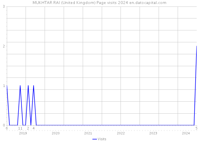 MUKHTAR RAI (United Kingdom) Page visits 2024 