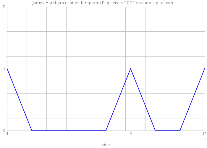 James Horsham (United Kingdom) Page visits 2024 