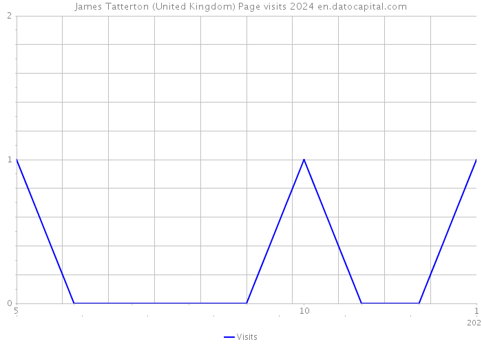 James Tatterton (United Kingdom) Page visits 2024 