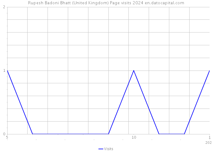 Rupesh Badoni Bhatt (United Kingdom) Page visits 2024 