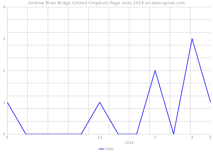 Andrew Brian Bridge (United Kingdom) Page visits 2024 