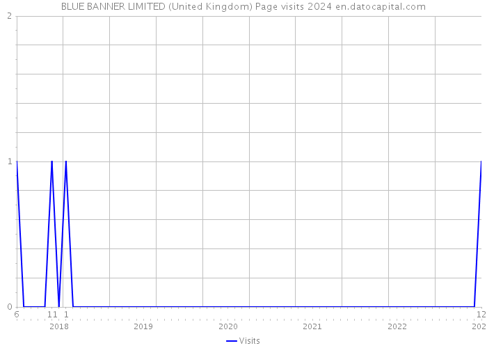 BLUE BANNER LIMITED (United Kingdom) Page visits 2024 