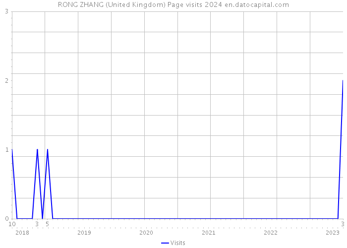 RONG ZHANG (United Kingdom) Page visits 2024 