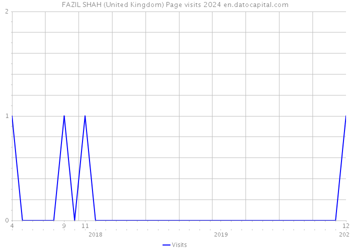 FAZIL SHAH (United Kingdom) Page visits 2024 