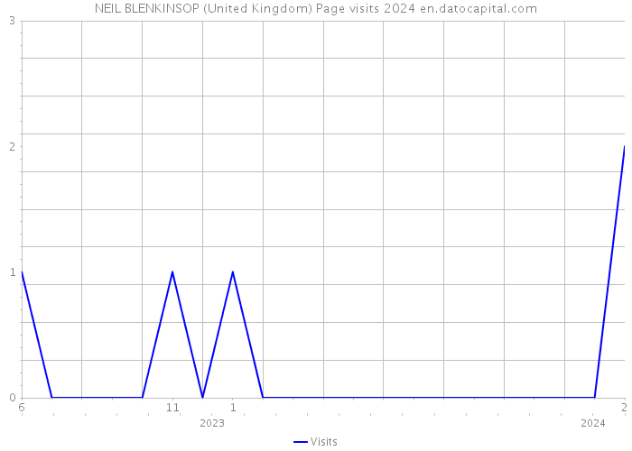 NEIL BLENKINSOP (United Kingdom) Page visits 2024 