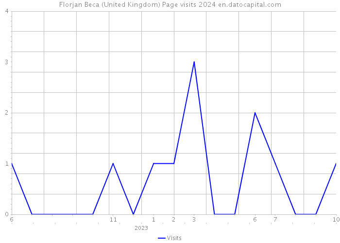 Florjan Beca (United Kingdom) Page visits 2024 