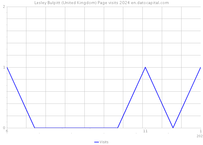 Lesley Bulpitt (United Kingdom) Page visits 2024 