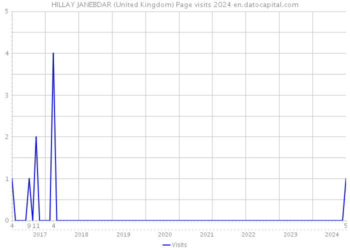 HILLAY JANEBDAR (United Kingdom) Page visits 2024 