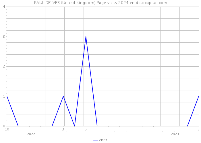 PAUL DELVES (United Kingdom) Page visits 2024 