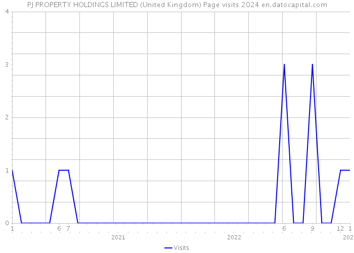 PJ PROPERTY HOLDINGS LIMITED (United Kingdom) Page visits 2024 