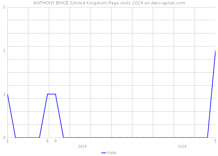 ANTHONY BINGE (United Kingdom) Page visits 2024 