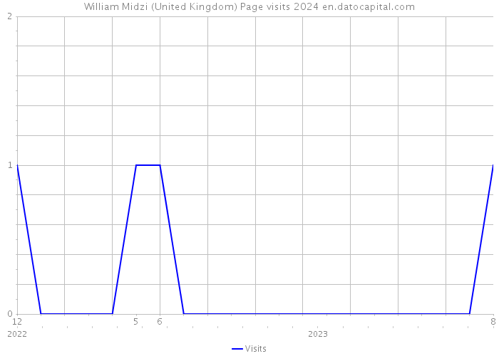 William Midzi (United Kingdom) Page visits 2024 