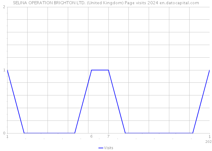 SELINA OPERATION BRIGHTON LTD. (United Kingdom) Page visits 2024 