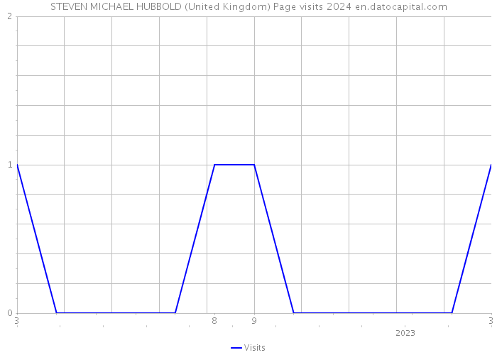 STEVEN MICHAEL HUBBOLD (United Kingdom) Page visits 2024 